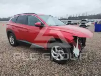 2023 Hyundai Tucson photo
