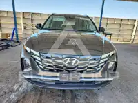 2023 Hyundai Tucson фото