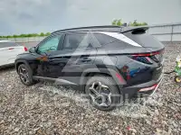2023 Hyundai Tucson photo