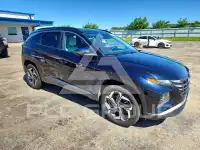 2023 Hyundai Tucson photo