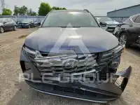 2023 Hyundai Tucson photo