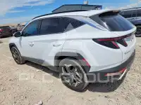 2023 Hyundai Tucson photo