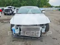2023 Hyundai Elantra photo