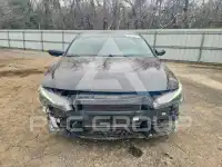 2023 Hyundai Elantra фото