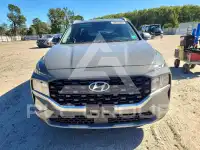 2023 Hyundai Santa Fe photo