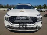2023 Hyundai Santa Fe photo