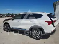 2023 Hyundai Santa Fe фото