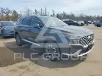 2023 Hyundai Santa Fe фото