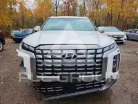2023 Hyundai Palisade фото