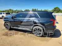 2023 Hyundai Palisade фото