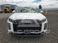 2023 Hyundai Palisade фото