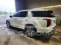 2023 Hyundai Palisade photo