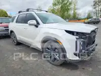 2023 Hyundai Palisade фото