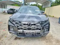 2023 Hyundai Santa Fe фото