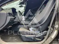 2024 Nissan SENTRA photo