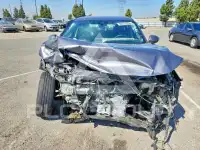 2024 Nissan SENTRA фото