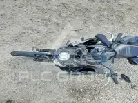 2024 Harley-Davidson FXLR фото