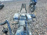 2024 Harley-Davidson FL photo