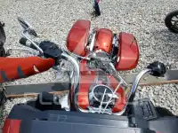2024 Harley-Davidson FL photo