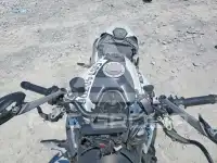 2024 Ducati Monster photo