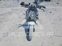 2024 Ducati Monster photo