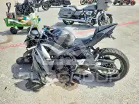 2024 Kawasaki  фото