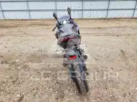 2024 Kawasaki  фото