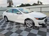 2024 Chevrolet Malibu photo