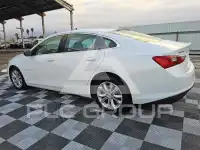 2024 Chevrolet Malibu photo
