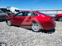 2024 Chevrolet Malibu photo