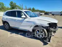2024 BMW X3 фото