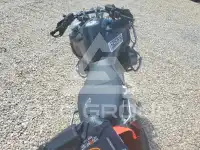 2024 BMW R1250 фото