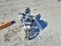 2024 BMW R1250 photo