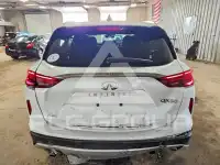 2024 Infinity QX50 photo