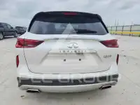 2024 Infinity QX50 photo