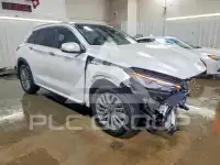 2024 Infinity QX50 фото