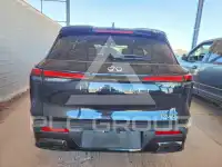 2024 Infinity QX60 фото