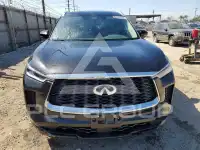 2024 Infinity QX60 фото
