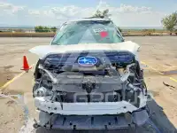 2024 Subaru Forester photo