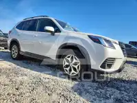 2024 Subaru Forester photo