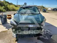 2024 Subaru Forester фото