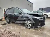 2024 Subaru Forester photo