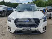 2024 Subaru Forester photo