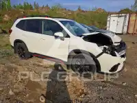 2024 Subaru Forester фото