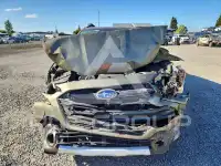 2024 Subaru Outback photo