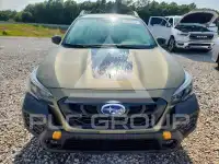 2024 Subaru Outback photo
