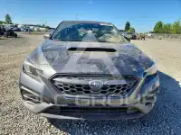 2024 Subaru WRX фото