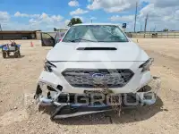 2024 Subaru WRX фото