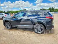 2024 Acura RDX photo