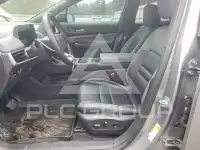 2024 Honda  photo